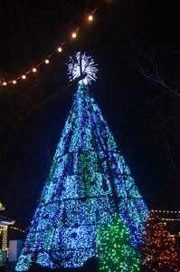 Silver Dollar City xmas video